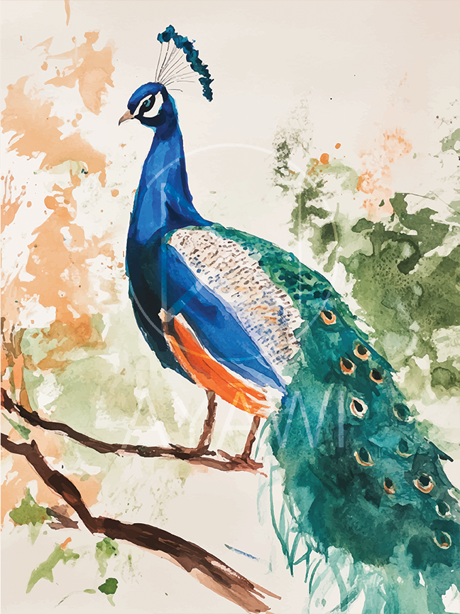 Aquarelle Plumage
