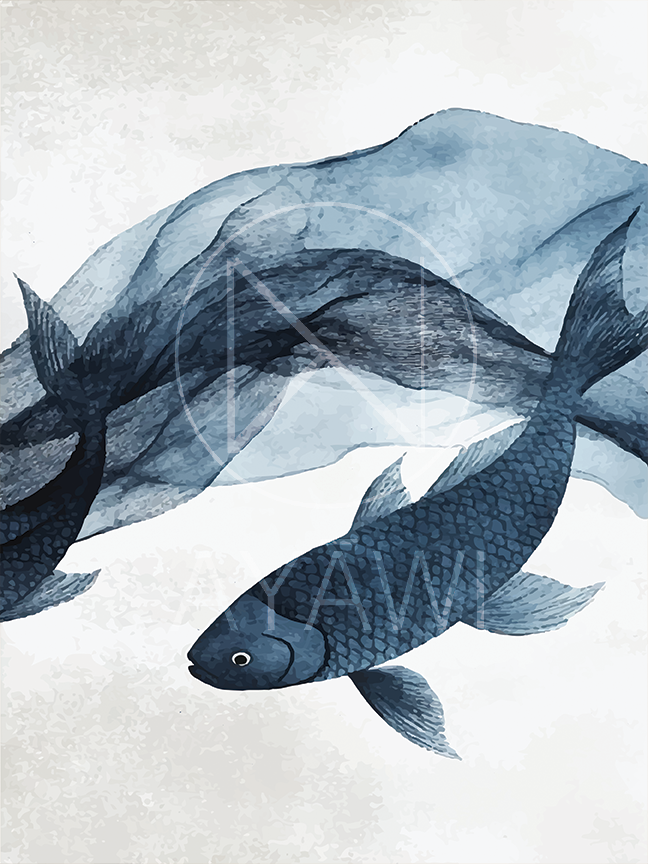 Aquatic Shadows