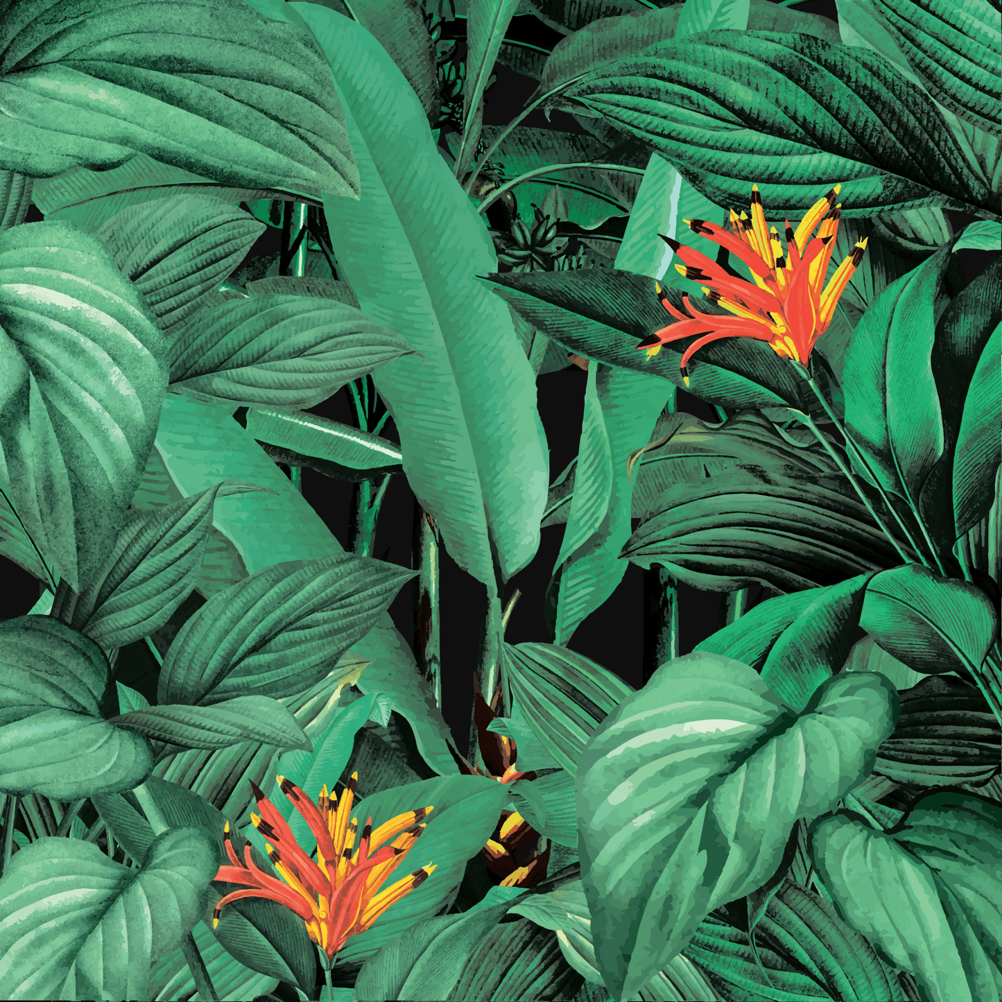Botanical Hues