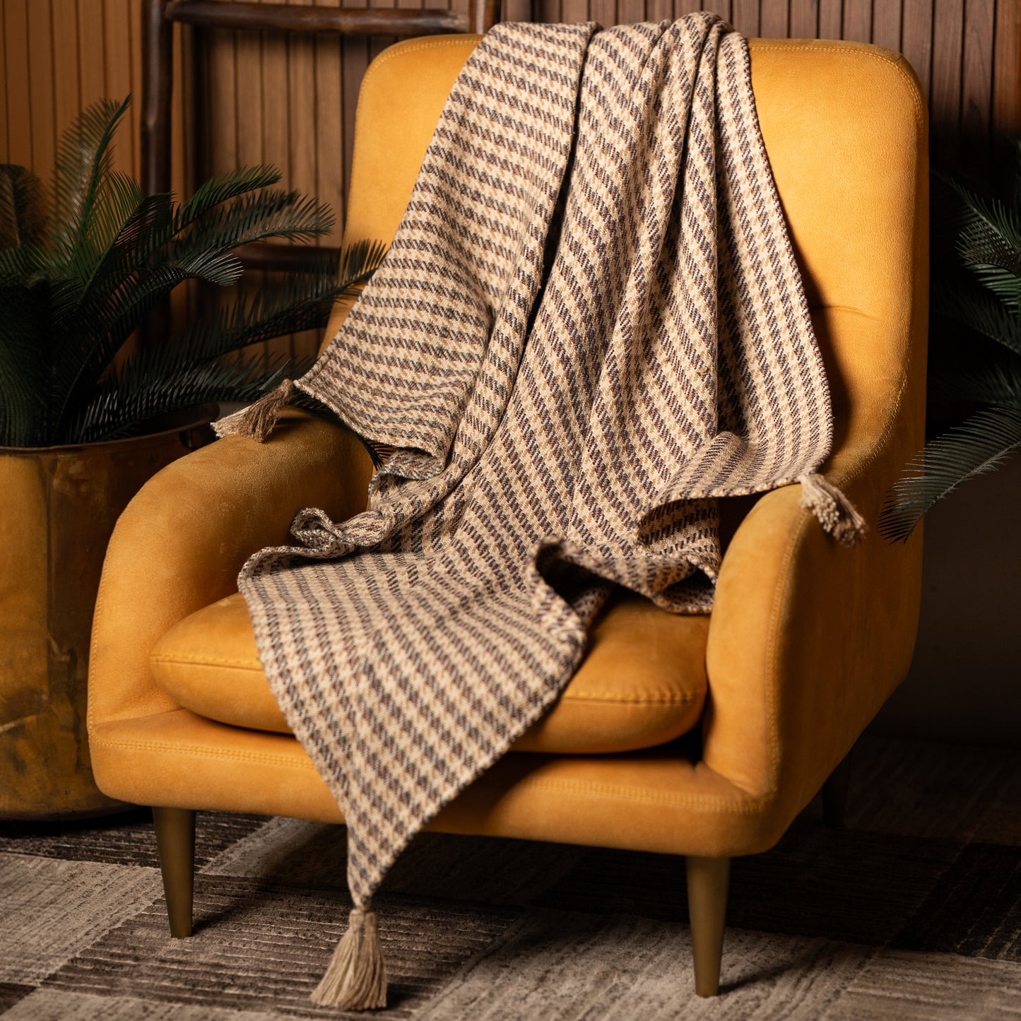 Comfy Cocoon