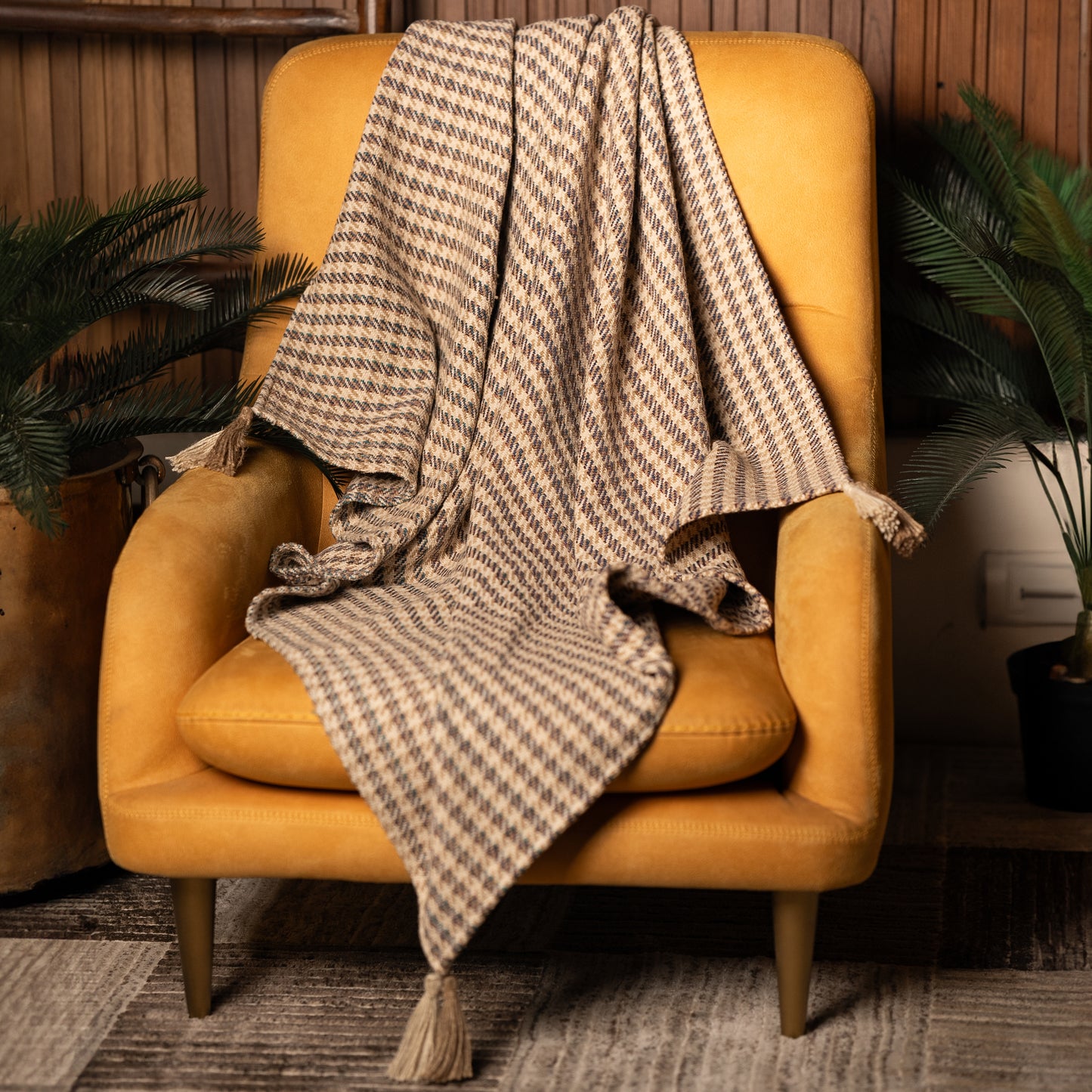 Comfy Cocoon