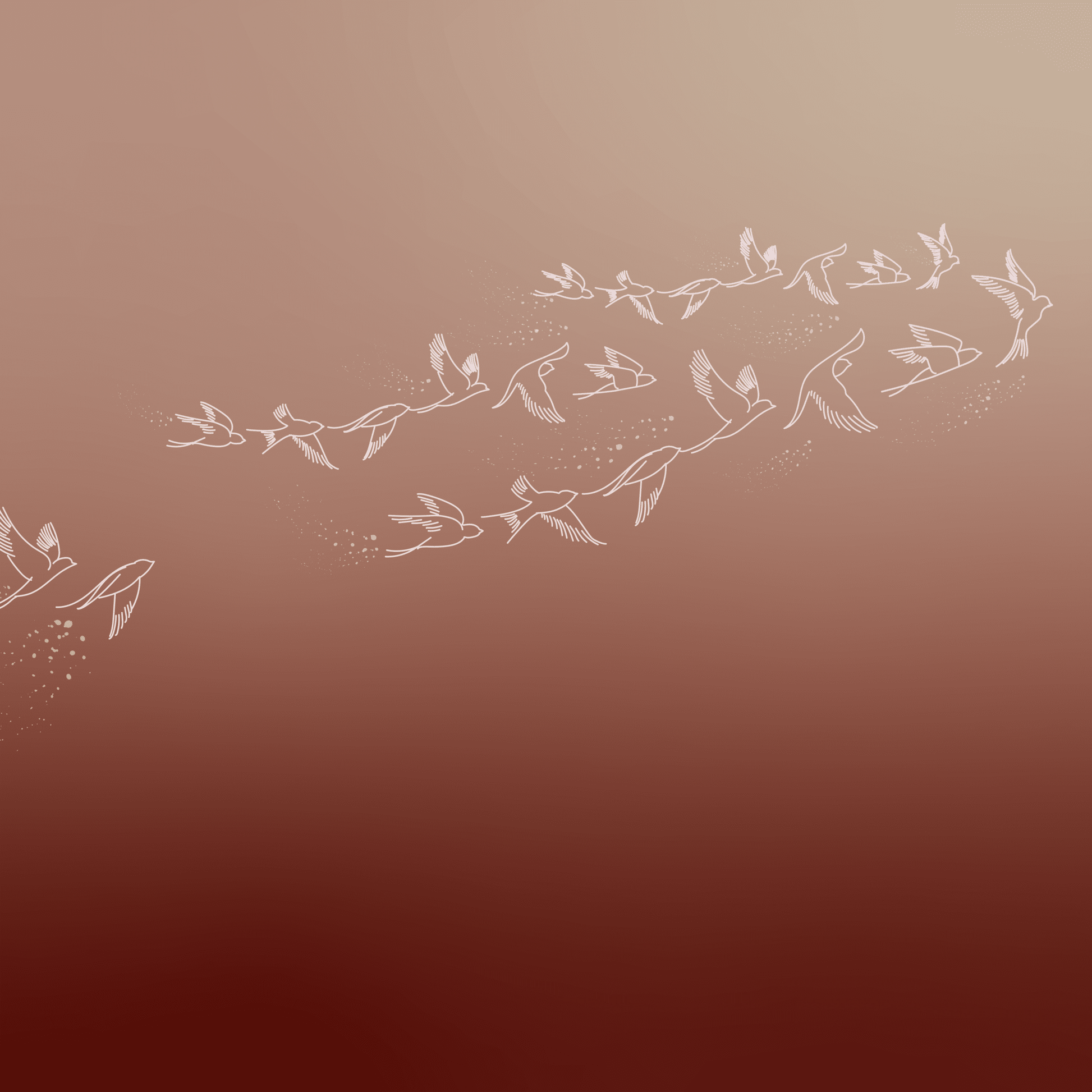 bird wall papers online