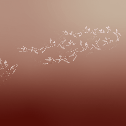 bird wall papers online